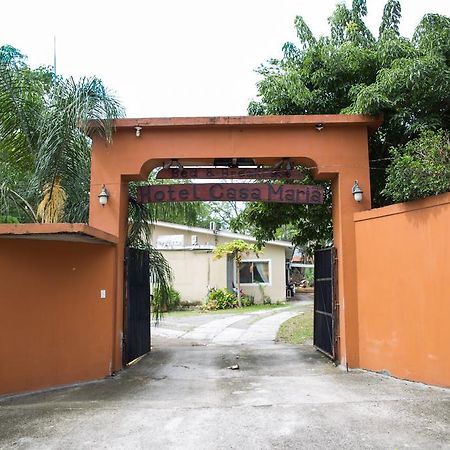 Hotel Casa Maria 산페드로술라 외부 사진